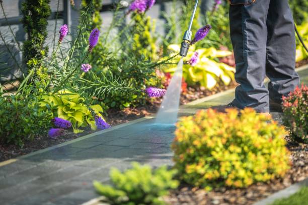 Best Soft Washing for Delicate Surfaces in Merton, WI